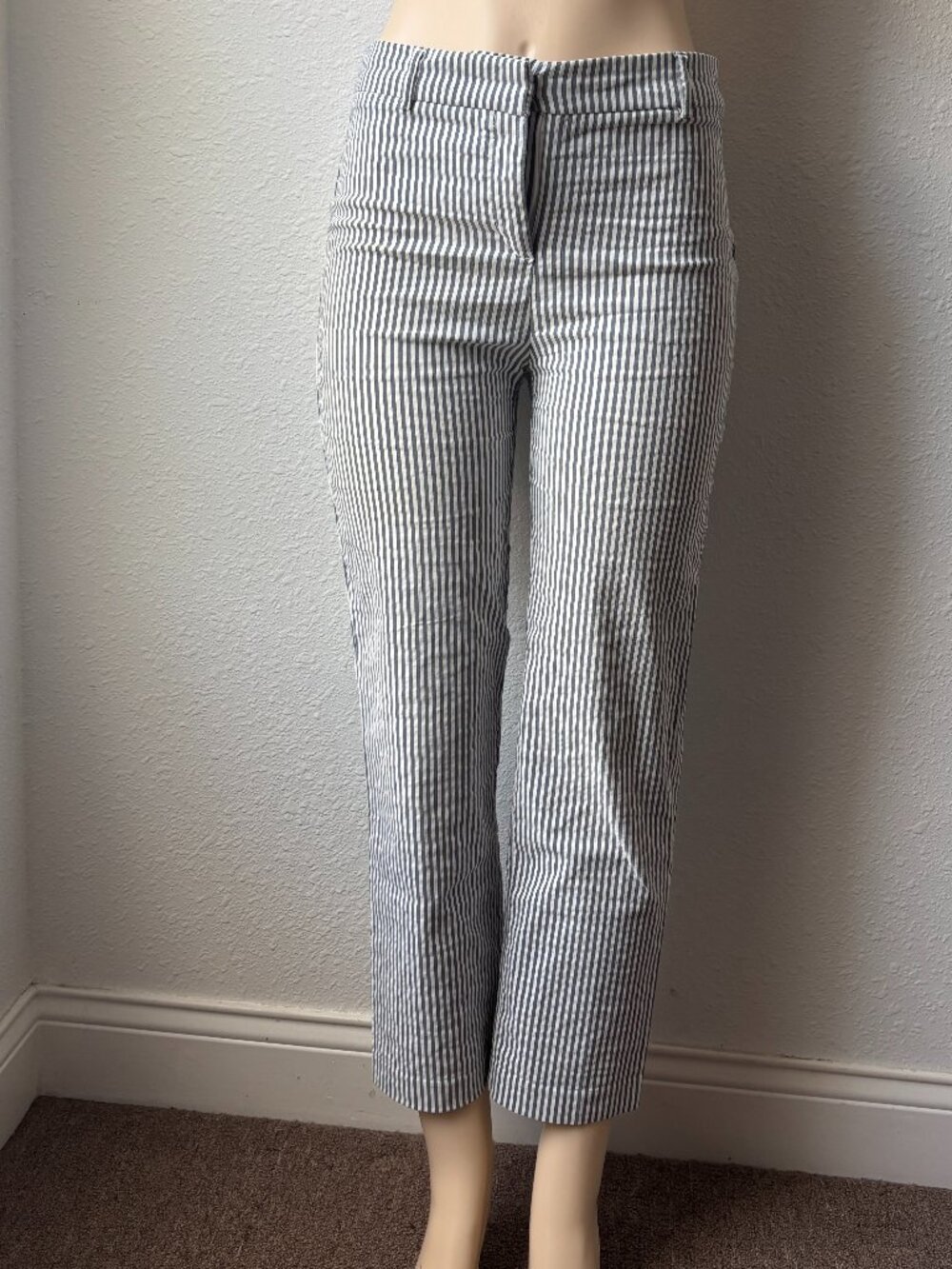 Adrienne Vittadini Striped Seersucker Ankle Pants Womens 6 Blue White Stretch